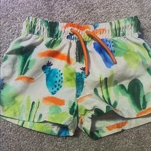 Colorful Kids Swim Trunks